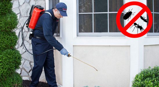 Kepez Hamam Böceği İlaçlama böcek ilaçlama ve haşere kontrolü — ilaclama-tr.com